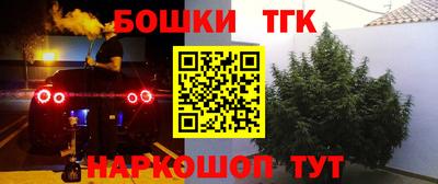 соль ск Славгород